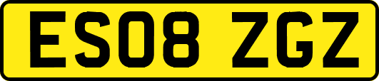 ES08ZGZ