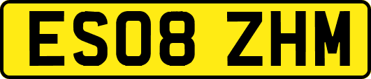ES08ZHM
