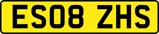ES08ZHS