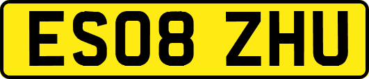 ES08ZHU