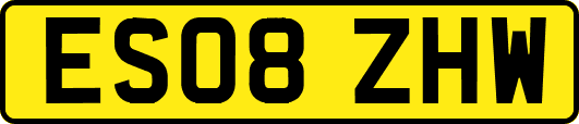 ES08ZHW