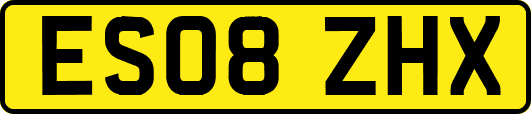ES08ZHX