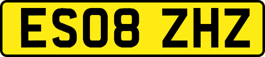 ES08ZHZ