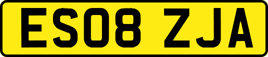ES08ZJA