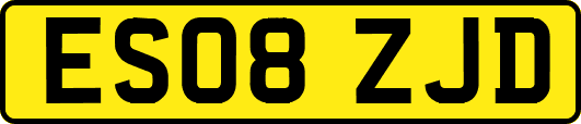 ES08ZJD