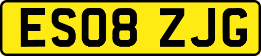 ES08ZJG