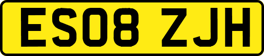 ES08ZJH