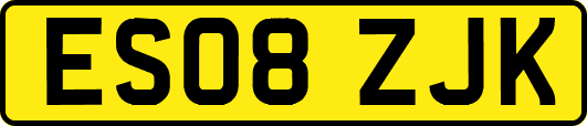 ES08ZJK