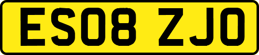 ES08ZJO