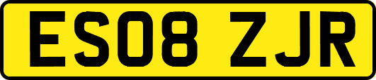 ES08ZJR