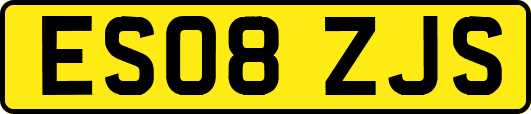 ES08ZJS