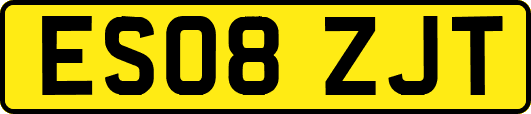 ES08ZJT