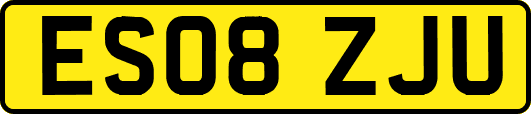 ES08ZJU