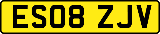 ES08ZJV