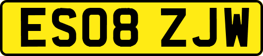 ES08ZJW