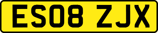 ES08ZJX