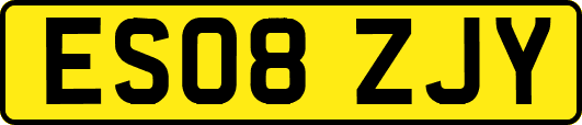 ES08ZJY