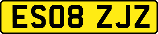 ES08ZJZ