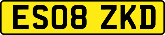 ES08ZKD