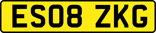 ES08ZKG