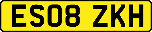 ES08ZKH