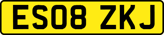 ES08ZKJ