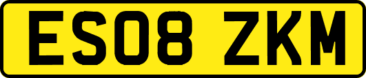 ES08ZKM