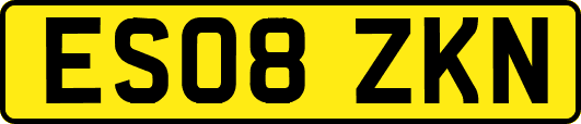 ES08ZKN