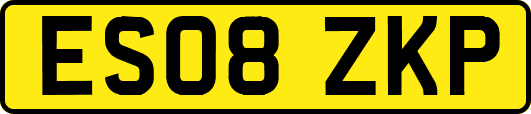 ES08ZKP