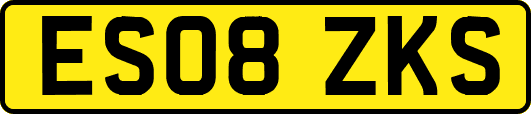 ES08ZKS