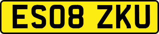 ES08ZKU