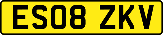 ES08ZKV