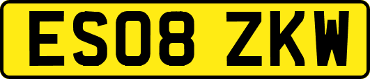 ES08ZKW