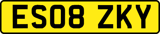 ES08ZKY