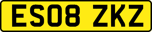 ES08ZKZ