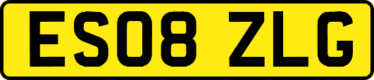 ES08ZLG