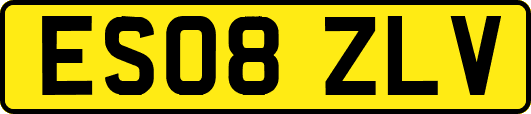 ES08ZLV