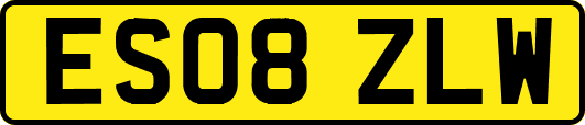ES08ZLW