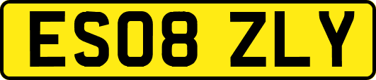 ES08ZLY