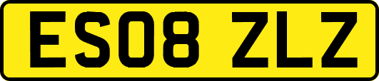 ES08ZLZ