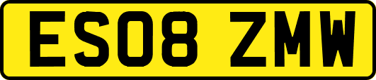 ES08ZMW