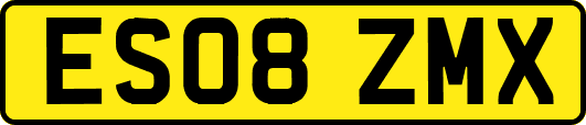 ES08ZMX