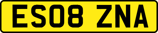 ES08ZNA