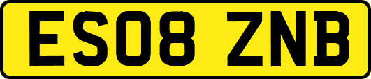 ES08ZNB
