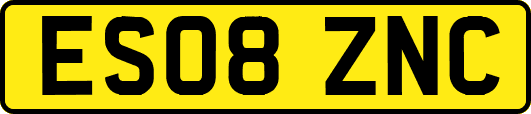 ES08ZNC