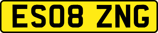 ES08ZNG