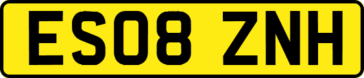 ES08ZNH