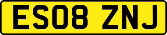 ES08ZNJ