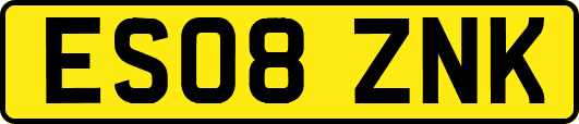 ES08ZNK