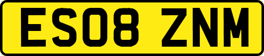 ES08ZNM